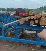 Log Deck Feeder / Log Infeed Conveyor — 6