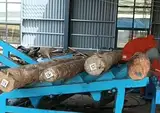 Log Deck Feeder / Log Infeed Conveyor — 4