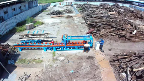 LONWOOD cut-off saw line at a customer log yard in Fujian, China, surrounded by stacked logs