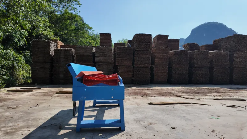Finished wooden pallets stacked in a customer yard in Guangxi, China, behind a LONWOOD cut-off saw transfer conveyor