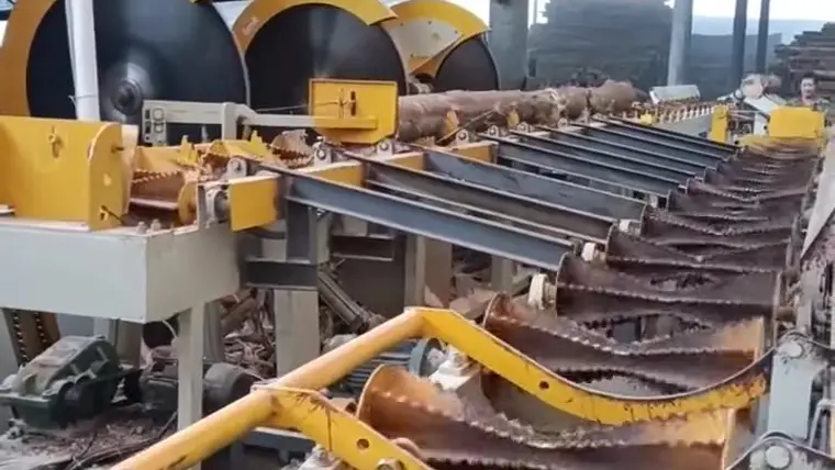 LW-CS1200A Adjustable Log Cut-Off Saw Running at a Customer Yard in Fujian